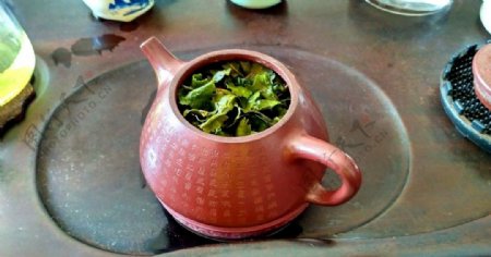 泡开绿茶叶的紫砂壶横版