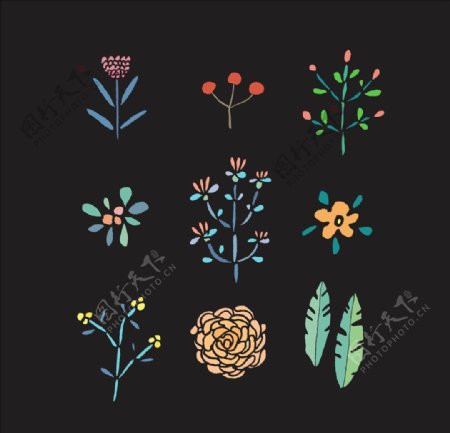 手绘植物花朵花卉矢量图下载