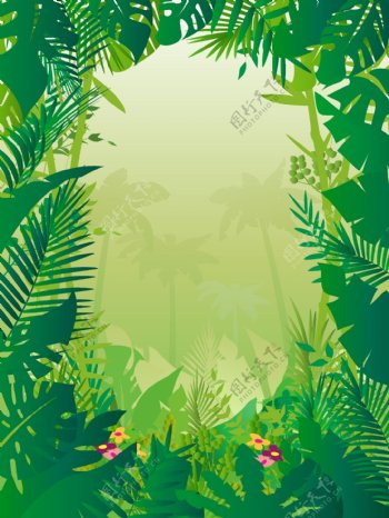 雨林背景