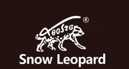 snowleopard雪豹