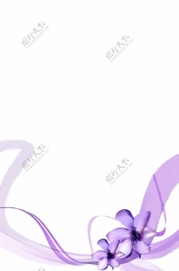 紫飘带花