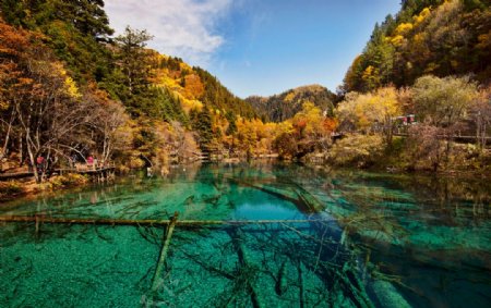 秋季风景