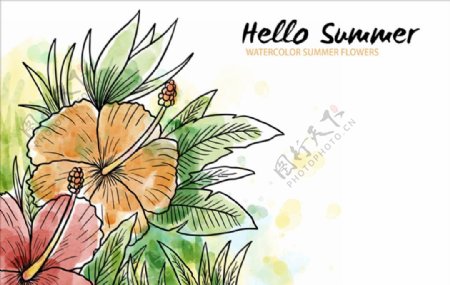 手绘水彩夏季热带花卉