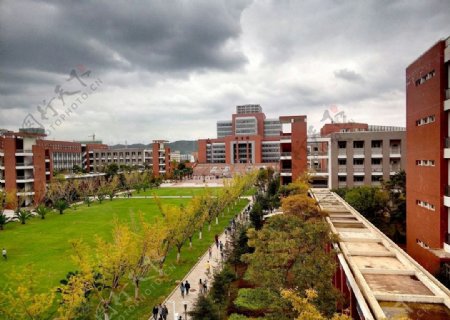 大学校园风景
