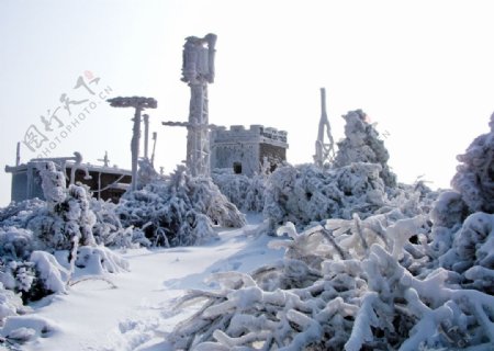 雪景