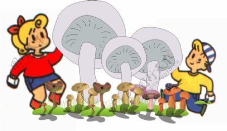 采蘑菇