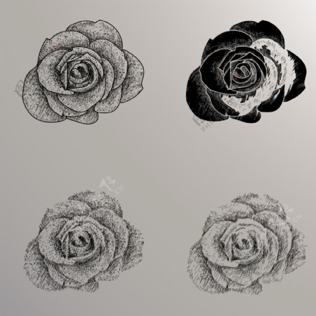 手绘玫瑰花过程