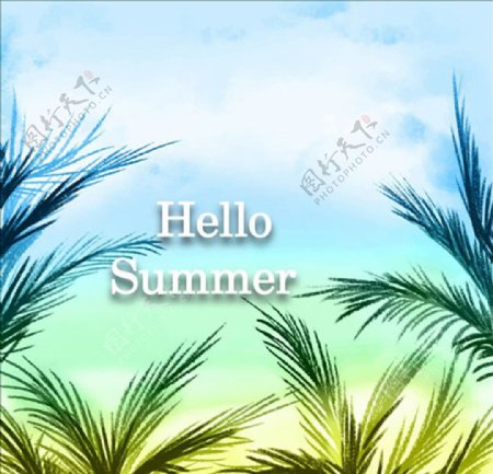 夏日热带棕榈叶的背景