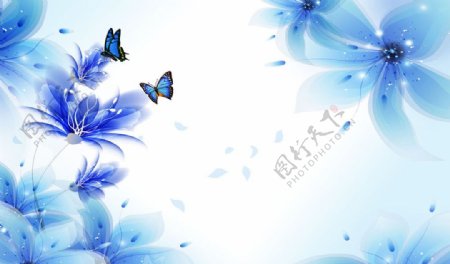 梦幻蓝色花