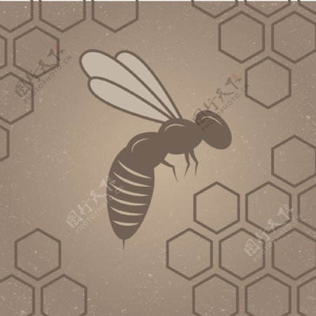 蜂窝与蜜蜂背景