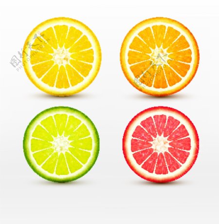 四款不同颜色的柠檬切面矢量