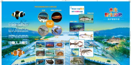 野生水生动物保护手册
