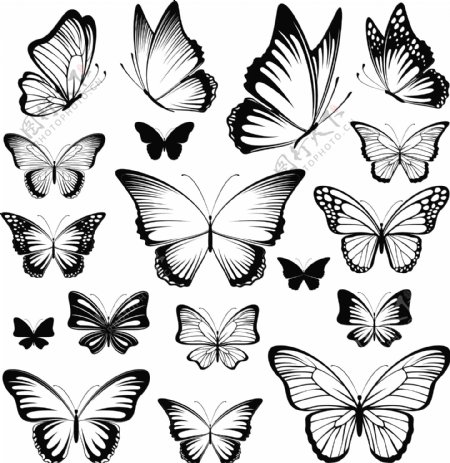 蝴蝶矢量图