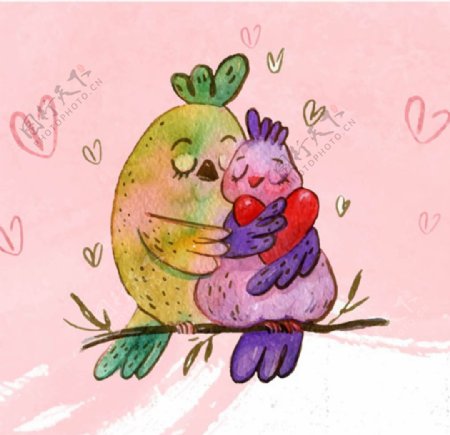 手绘水彩情人节浪漫拥抱的小鸟