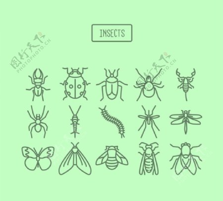 昆虫图标矢量