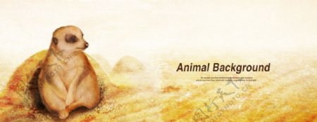 动物展示海报背景