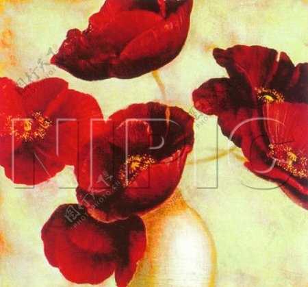 花卉油画50厘米X50厘米