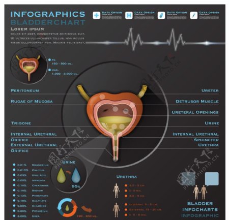 医疗信息图表