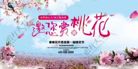 清新桃花节旅游节赏花海报展板