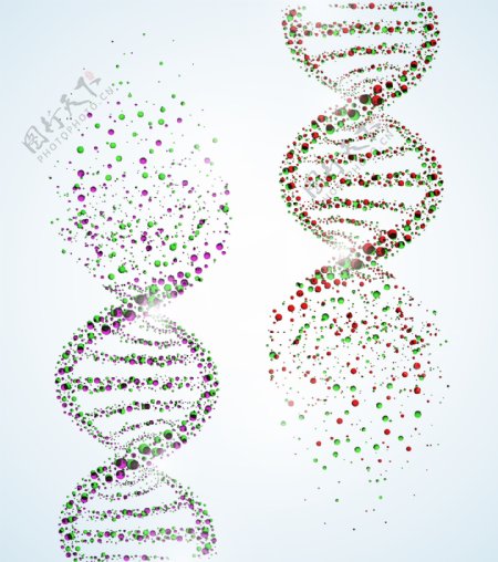 DNA遗传学遗传基因