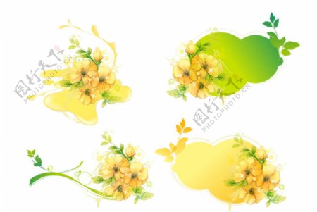 黄色花朵花藤