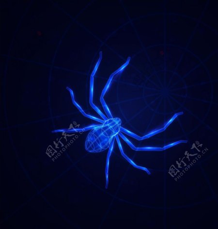 蜘蛛矢量图