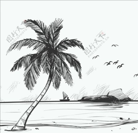 手绘素描海滩棕榈树背景