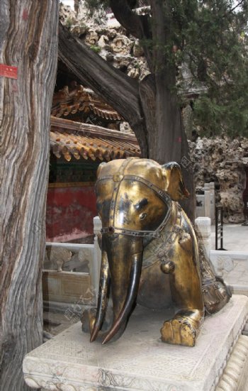 紫禁城御花园里的铜象