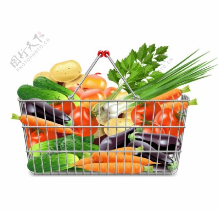 蔬菜购物篮