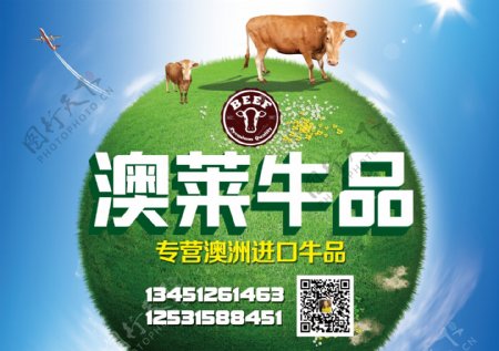 进口牛品绿色地球宣传单