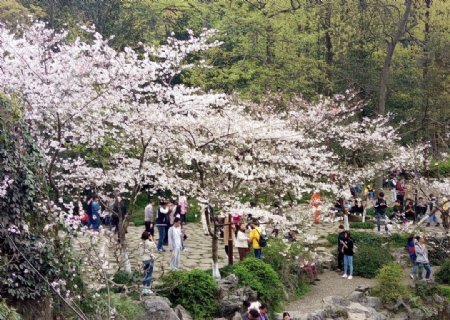 太子湾公园