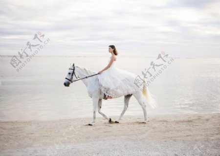 骑马的新娘