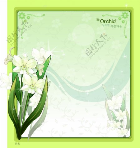 绿色边框和兰花