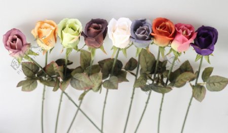 五色斑斓的玫瑰花束