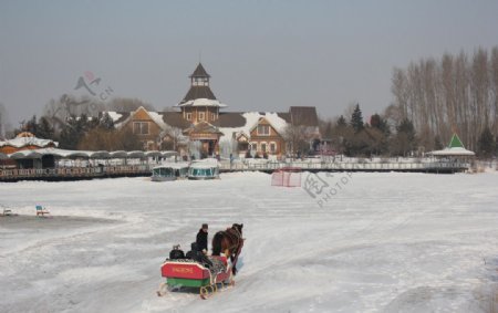 哈尔滨雪地马车