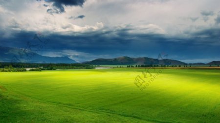 草原风景