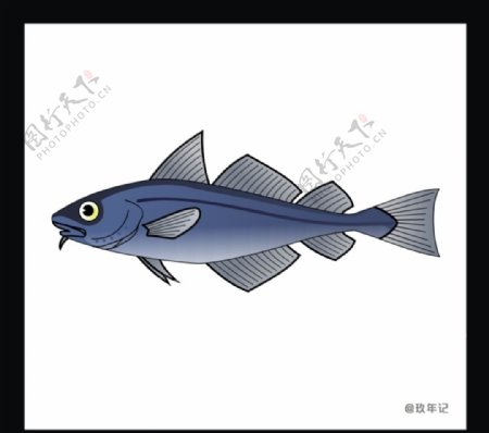 金枪鱼蓝色海食品
