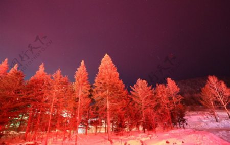 雪乡夜景