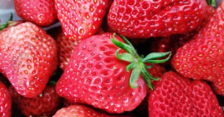 新鲜的水果草莓