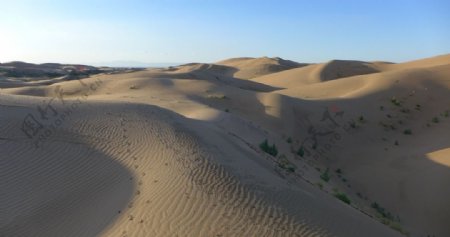 库布齐沙漠