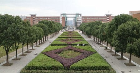 宁波大学花圃花型