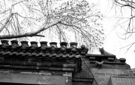 北京老胡同屋顶一景黑白