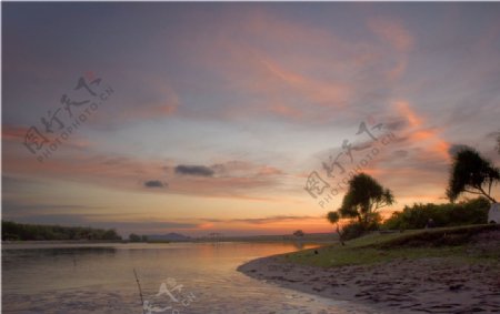 马来西亚爱情海树湖边