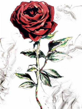 玫瑰花油画手绘卡通
