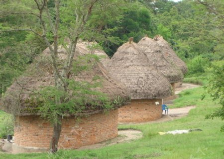 乌干达风景