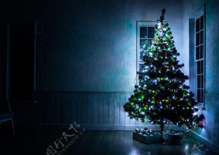 炫酷圣诞树