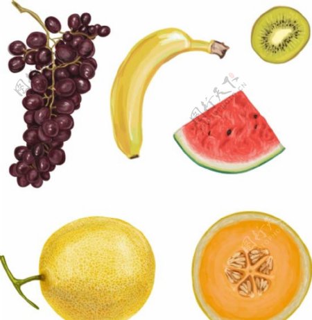 五款手绘水彩水果