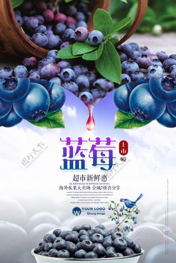 清新蓝莓海报