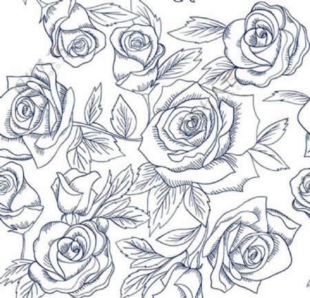 手绘素描春季线稿玫瑰