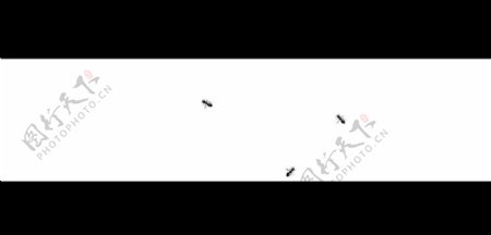蚂蚁动态背景视频